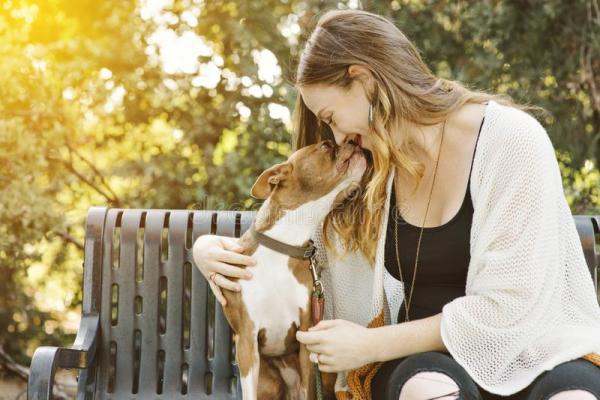 Omvendt nysing hos hunder - Årsaker, behandling og omsorg - Midler for omvendt nysing hos hunder 