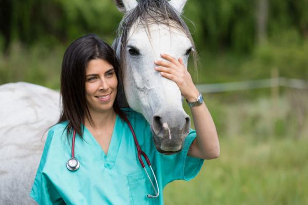Tannabser hos hester - Symptomer og behandling - Tester for å bestemme opprinnelsen til tannabcessen