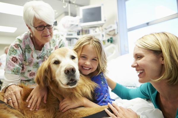 10 grunner til å ha hund - 8. De forbedrer livskvaliteten til mennesker med autisme