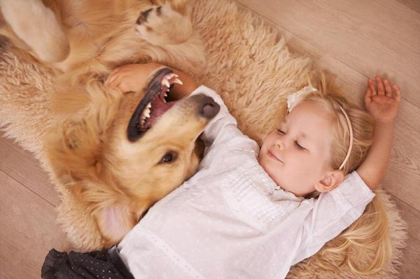 10 grunner til å ha hund - 4. De hjelper oss med å sove varmt om vinteren