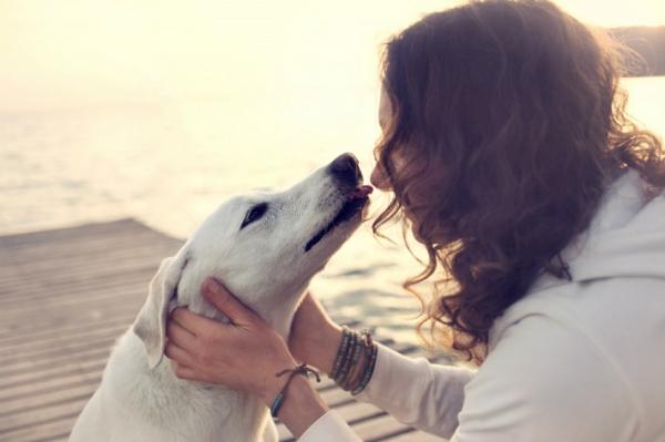 10 grunner til å ha hund - 10. Hans kjærlighet er uendelig