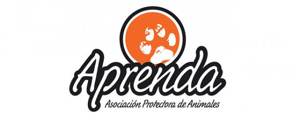 Hvor kan jeg adoptere en hund i Sevilla - LÆR: Animal Protection Association