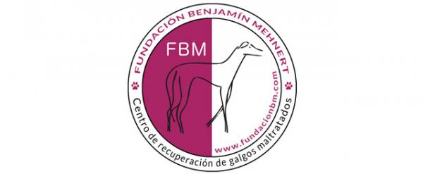 Hvor kan jeg adoptere en hund i Sevilla - Fundación Benjamín Mehnert