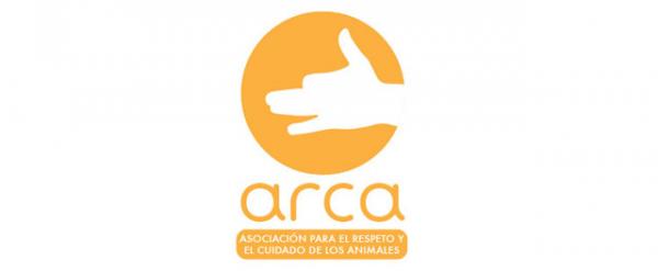 Hvor kan jeg adoptere en hund i Sevilla - ARCA: Association for the Respect and Care of Animals