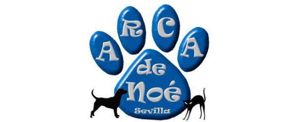 Hvor kan jeg adoptere en hund i Sevilla - Arca de Noé Sevilla