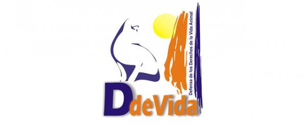 Hvor kan jeg adoptere en hund i Sevilla - DdeVida: Defense of the Rights of Animal Life