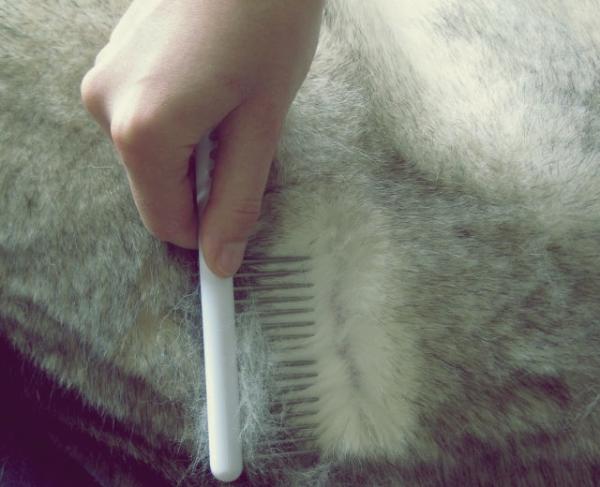 Siberian Husky Hair Shedding - Presise elementer for Husky børsting