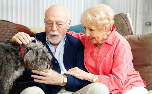 Alzheimers symptomer hos hunder - Hva du skal gjøre hvis hunden din lider av Alzheimers