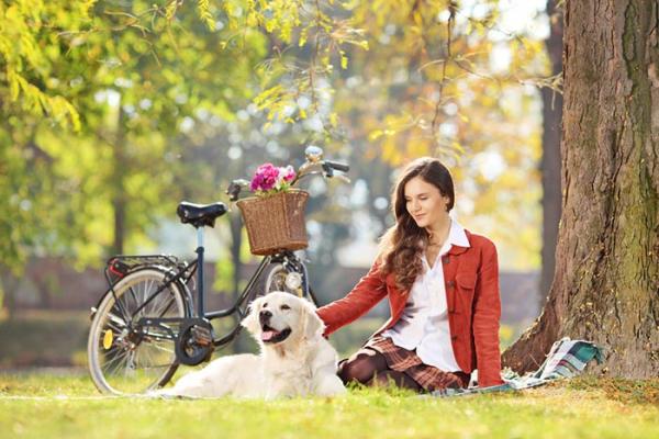 Tips for å gå med hunden din på sykkel - Tilpassingsperiode