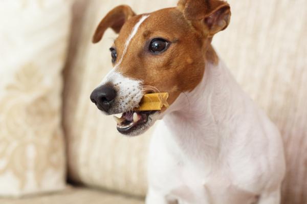 Ulike måter å rengjøre hundens tenner på - 8. Dental snacks