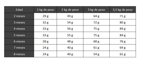 Mengden mat til en chihuahua - hvor mye spiser en chihuahua valp?