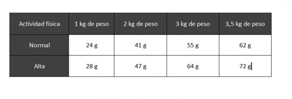 Mengden mat til en chihuahua - hvor mye spiser en voksen chihuahua?