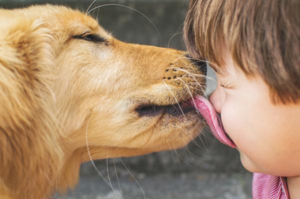 8 ting hunder gjør for å få oppmerksomhet - 4. Slikk som et kjærlig show