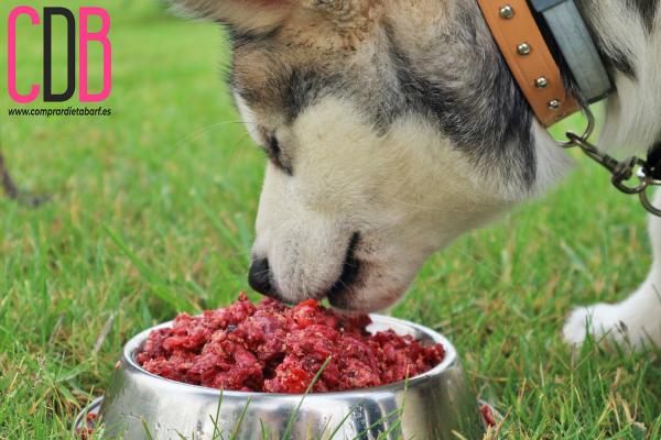 Naturlig fôr til hunder - Mengder, oppskrifter og tips - Hvordan lage naturlig mat til hunder?