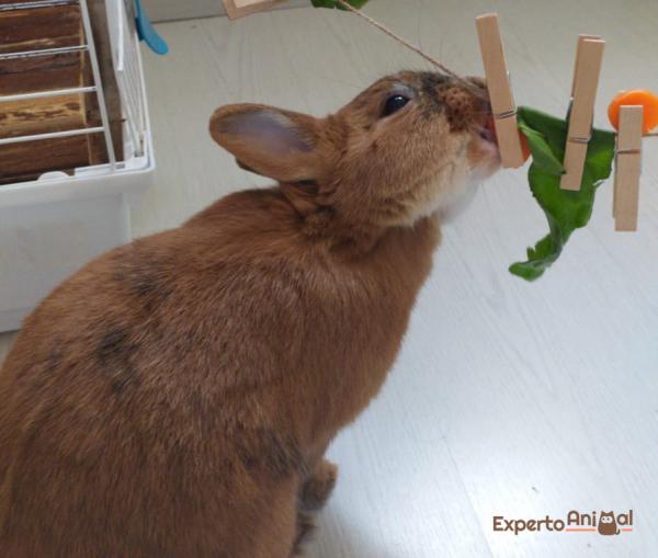Hjemmelaget kaninleketøy - Tygge leketøy for kaniner