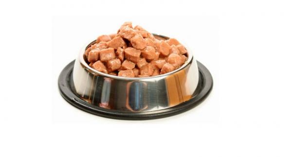 Tips for å unngå varme hos hunder - 3. Tilby mer fuktig mat for å hydrere