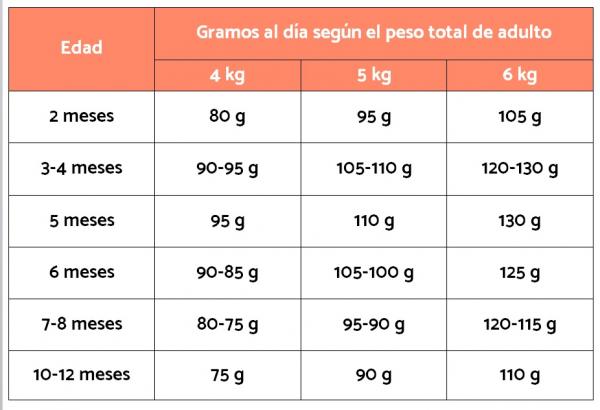 Mengden mat til en Jack Russell terrier - Hvor mye bør en Jack Russell valp spise?