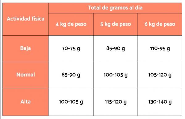 Mengden mat til en Jack Russell terrier - Hvor mye bør en voksen Jack Russell spise?