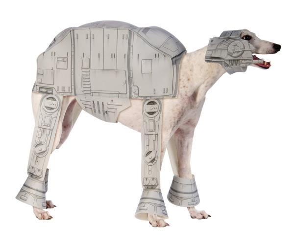 1629460889 431 De beste Star Wars kostymer for hunder