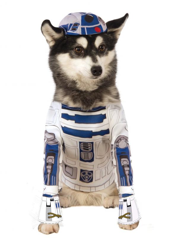 1629460889 471 De beste Star Wars kostymer for hunder