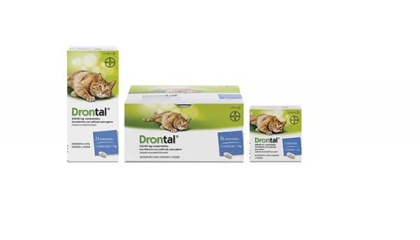 Drontal for katter - dosering, pris, pakningsvedlegg, bivirkninger - hva er Drontal for katter til?