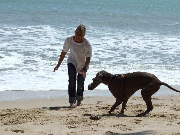 Hvorfor er hunden min redd for vann?  - Hvordan behandle en hunds frykt for vann