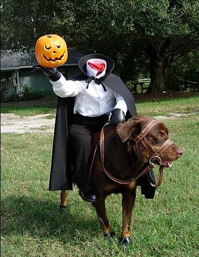 15 Halloween -kostymer for hunder - 4. Hodeløs rytter