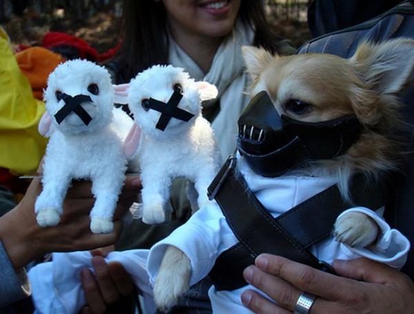 15 Dog Halloween -kostymer - 9. Hannibal Lecter Dog