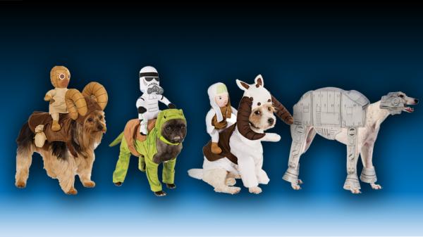 15 Dog Halloween -kostymer - 7. Star Wars Dogs