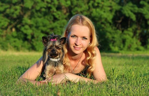 Yorkshire Terrier Care - Helseproblemer