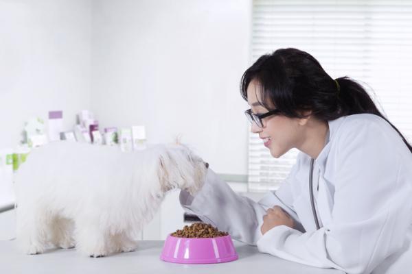 Hjemmelaget diett for nyresvikt hos hund - Forholdsregler for fôring for hunder med nyresvikt