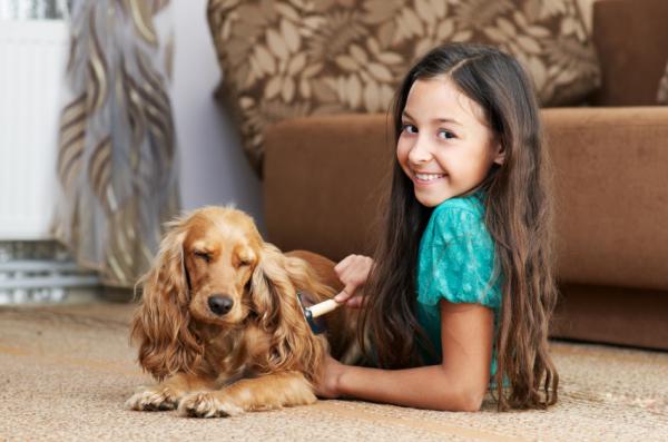 Anbefalinger for børsting av hundens hår - Puss hunden din regelmessig