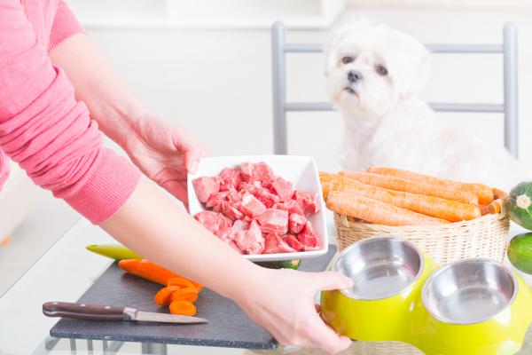 10 mennesker som hund kan spise - 1. kjøtt (uten salt eller kokte bein)