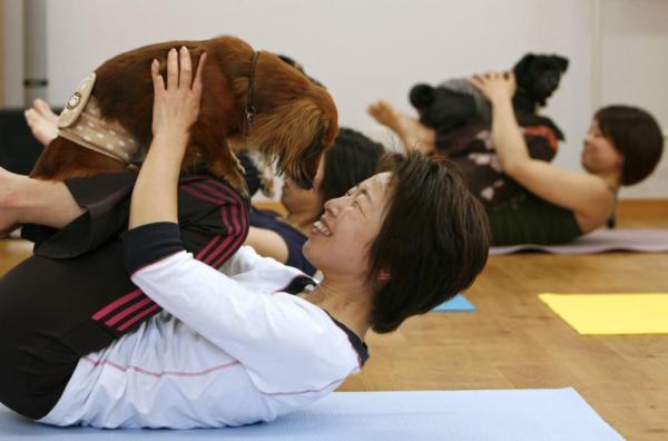Yoga for hunder - øvelser og tips - Hva er yoga for hunder?