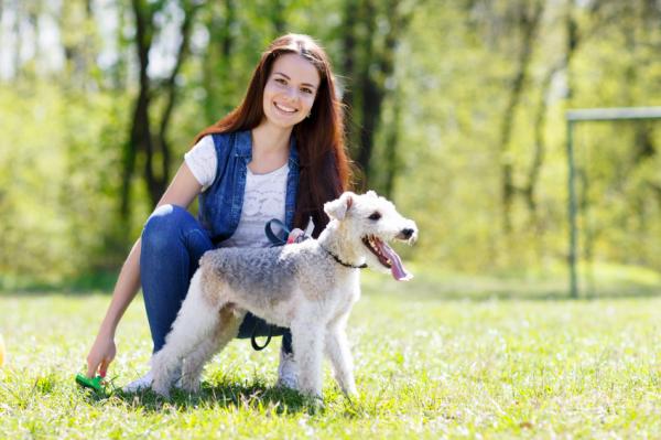 Hvordan lære hunden min å tote - Triks for å lære en hund