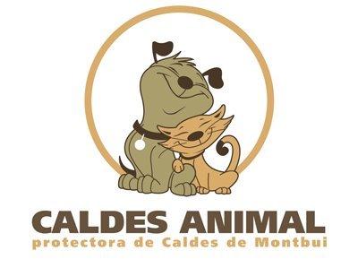 Hvor kan jeg adoptere en hund i Barcelona - Protectora de Caldes de Montbui