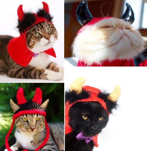 Halloween -kostymer for katter - Til helvete med katten!