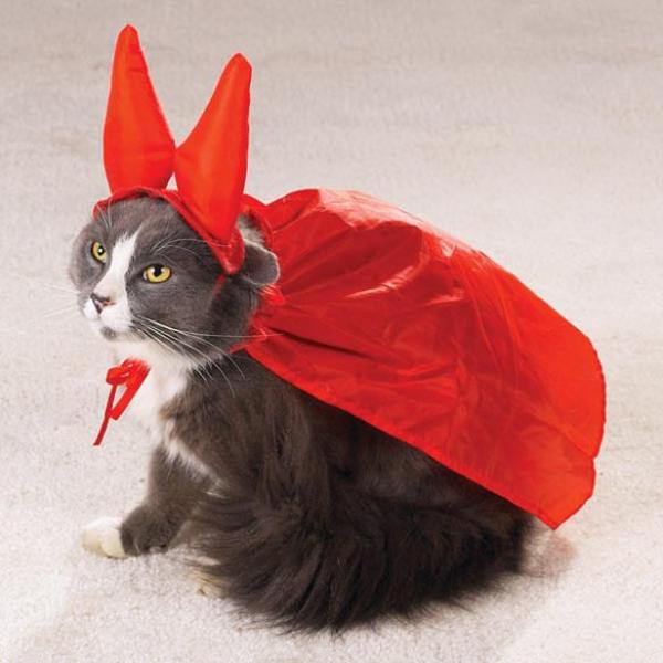 1630078617 58 Halloween kostymer for katter