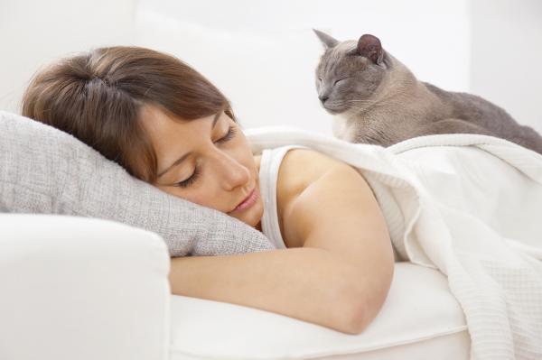 1630083539 554 5 grunner til at katten din sover hos deg