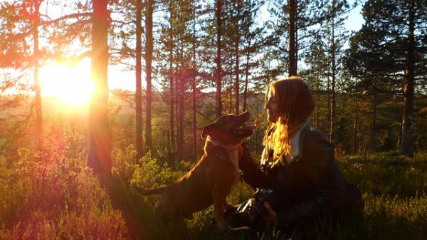 Hvordan hunder tenker - hundepsykologi