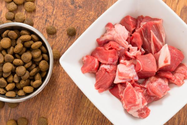 Er rått kjøtt bra for hunder?  - Rått eller kokt kjøtt?