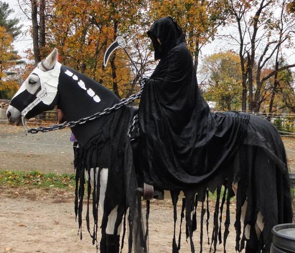 10 Halloween -kostymer for hester - 5. Dødens hest