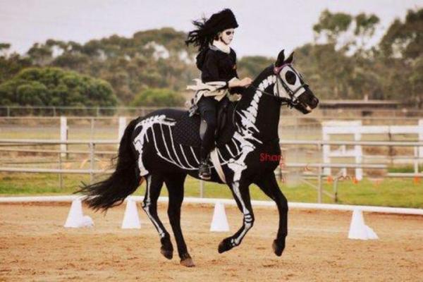 10 Halloween -kostymer for hester - 1. Gotthesten