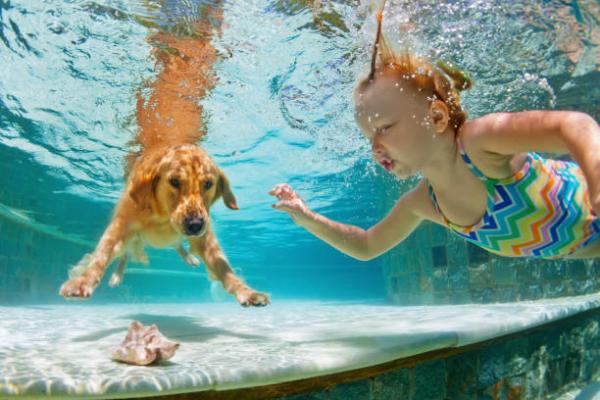Aktiviteter for barn og hunder - Svømming eller vannspill