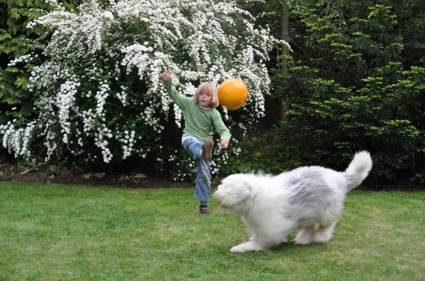 Aktiviteter for barn og hunder - Skal vi spille ball?