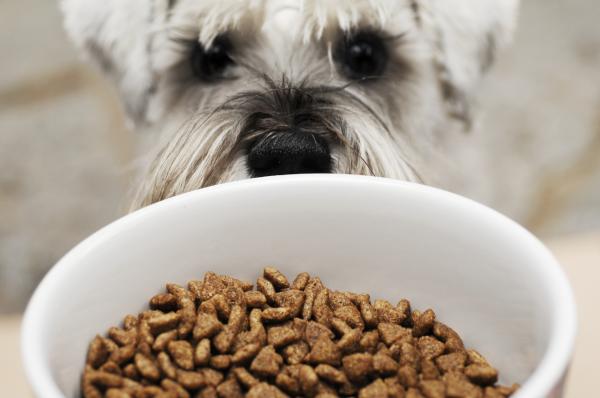 Beste balanserte hundemat - hvilke næringsstoffer bør en god balansert hundemat inneholde?