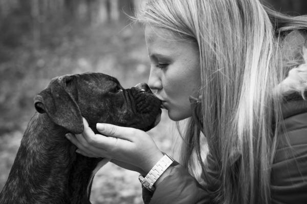 Føler hunder kjærlighet?  - Hunder forstår menneskelig gråt
