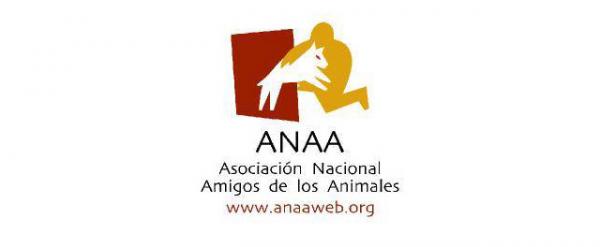Hvor kan jeg adoptere en hund i Madrid - ANAA.  Landsforeningen Dyrevenner
