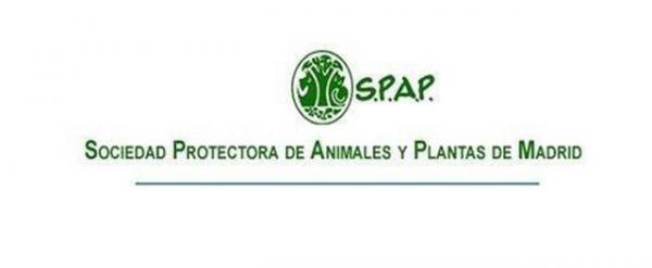 Hvor kan jeg adoptere en hund i Madrid - SPAP Sociedad Protectora de Animales y Plantas