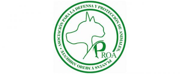 Hvor kan jeg adoptere en hund i Madrid - PROA.  Foreningen for forsvar og beskyttelse av dyr, planter og miljø